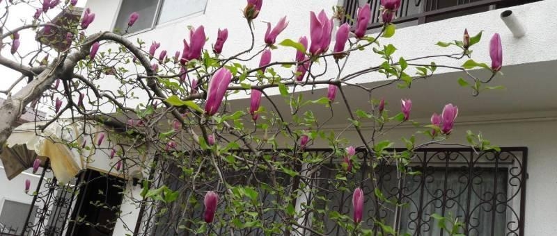 منزل ویلایی در  بابلسر